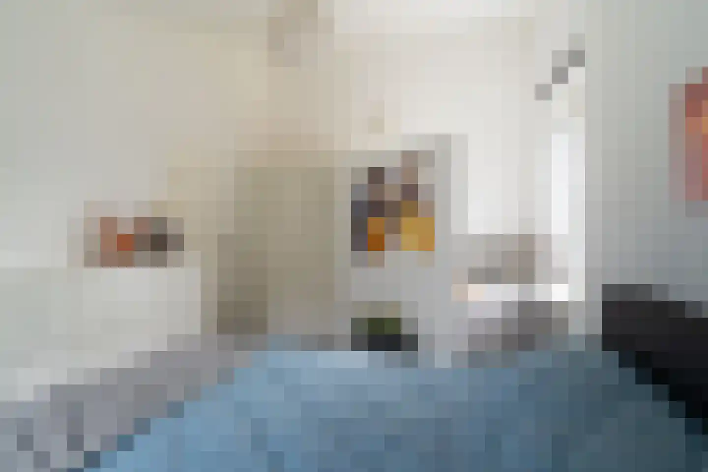 Ambachtsherenlaan 2 Waspik thumbnail 22