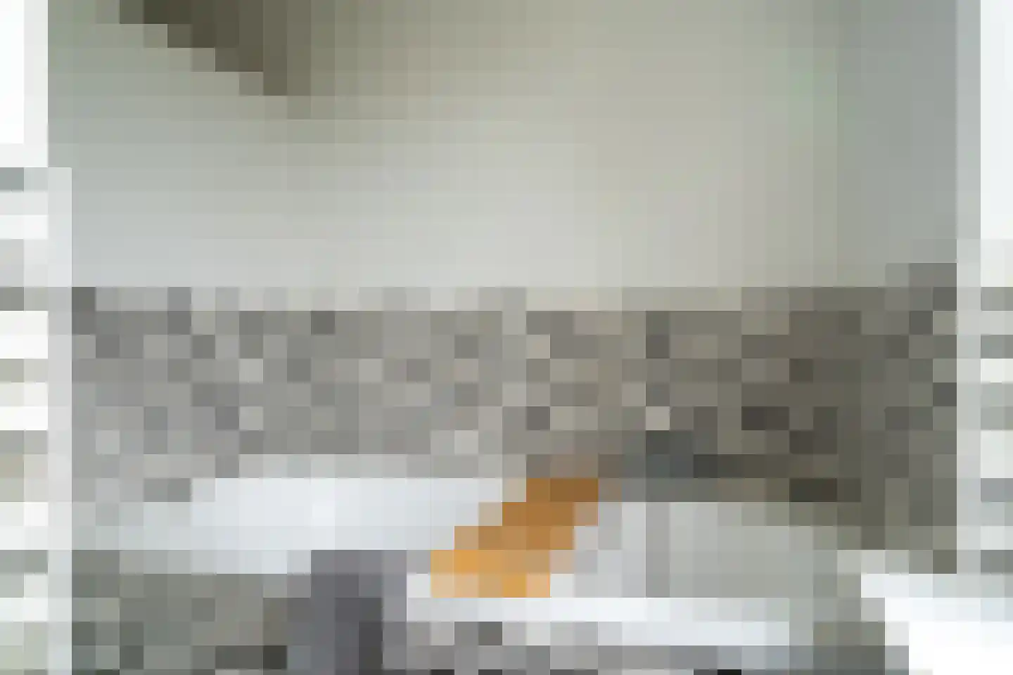 Ambachtsherenlaan 2 Waspik thumbnail 23