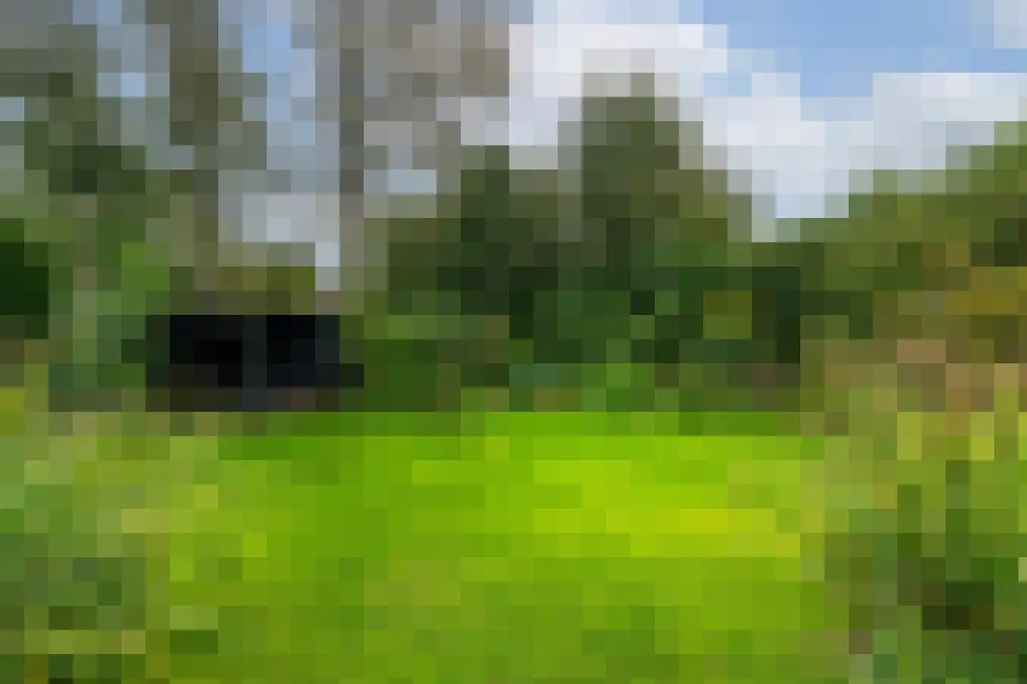 Ambachtsherenlaan 2 Waspik thumbnail 33