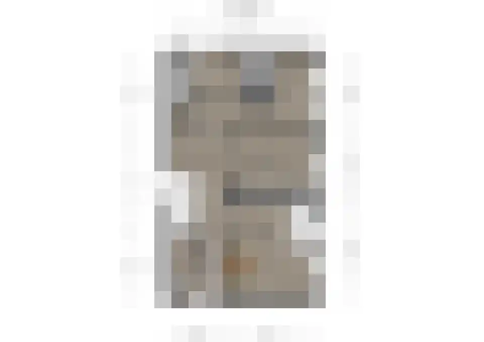 Ambachtsherenlaan 2 Waspik thumbnail 41
