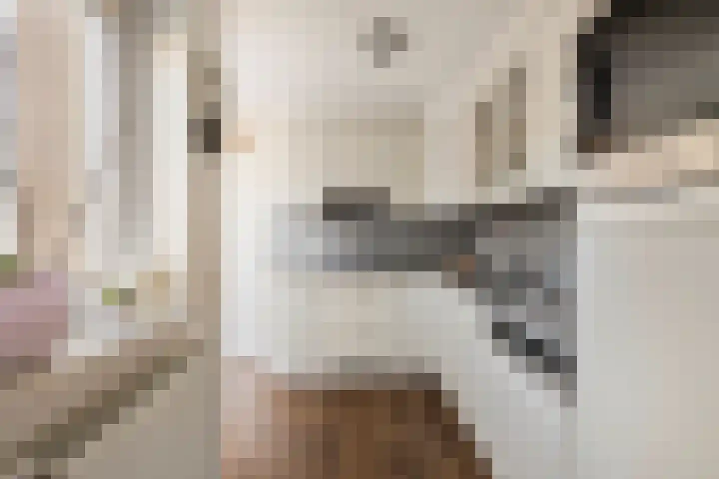 Ambachtsherenlaan 26 Yerseke thumbnail 13
