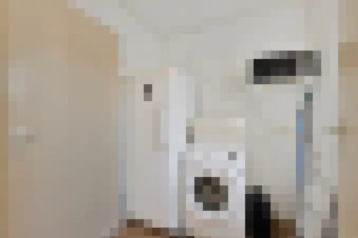 Ambachtsherenlaan 26 Yerseke thumbnail 14