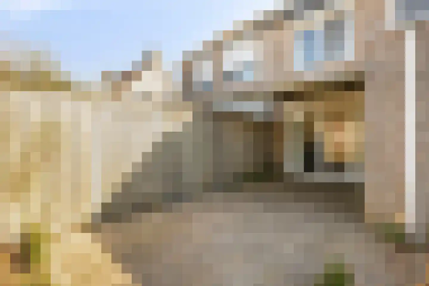 Ambachtsherenlaan 26 Yerseke thumbnail 29