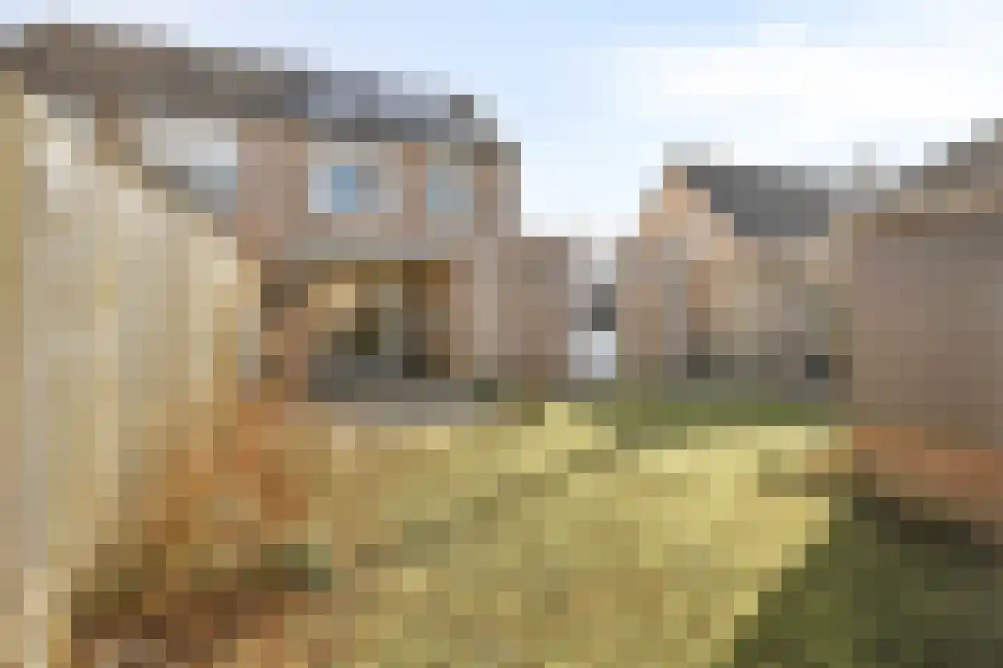 Ambachtsherenlaan 26 Yerseke thumbnail 33