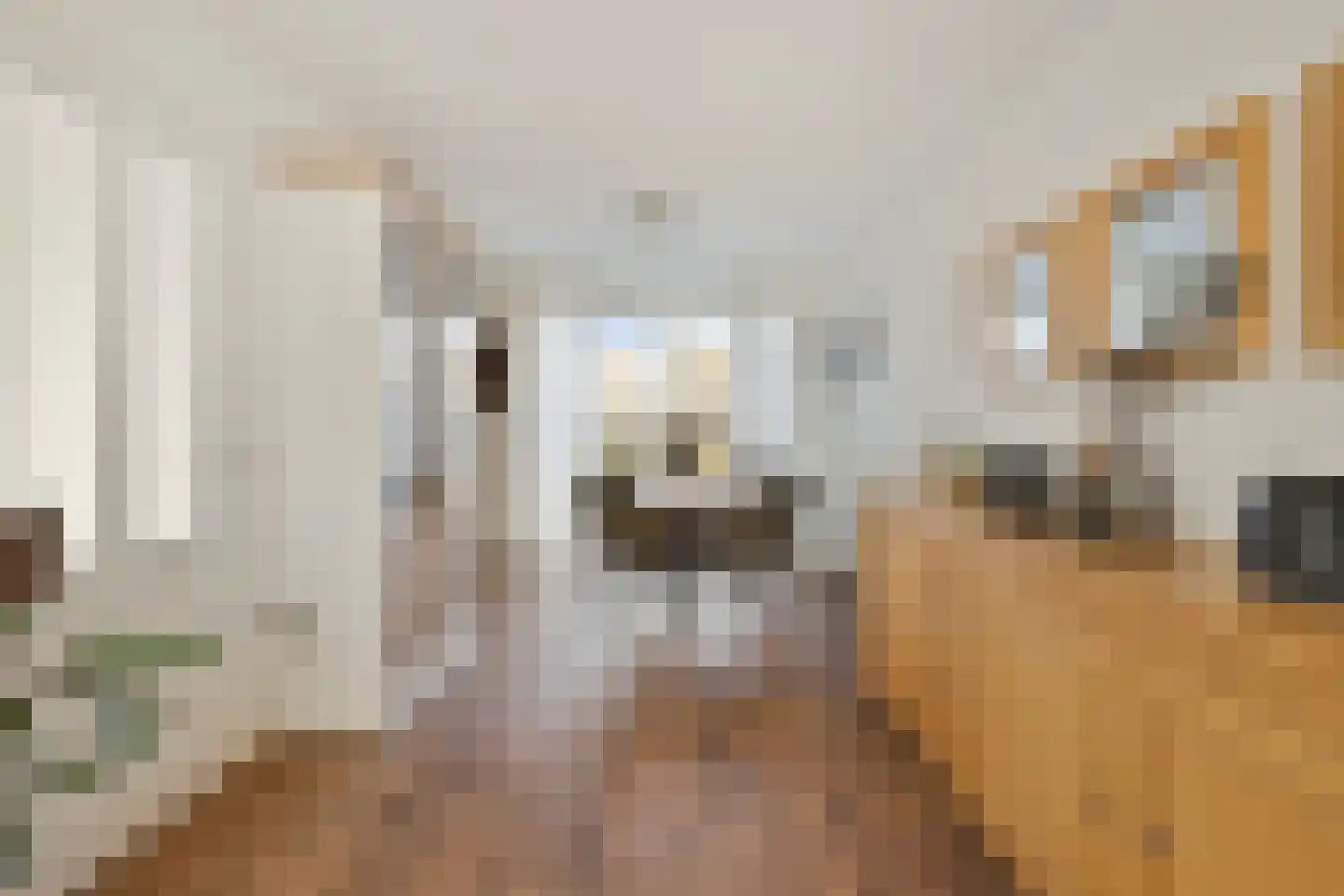 Ambachtsherenlaan 26 Yerseke thumbnail 8