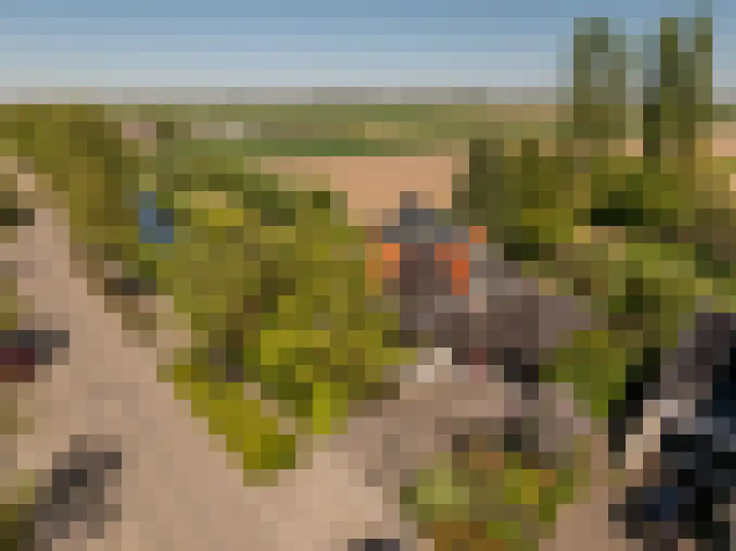 Ambachtsherenlaan 3 en Mijnsheerenland