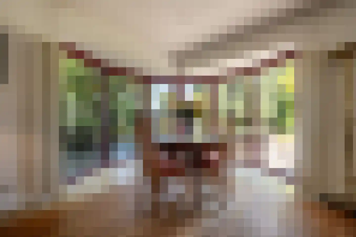 Ambachtsherenlaan 3 Mijnsheerenland thumbnail 10