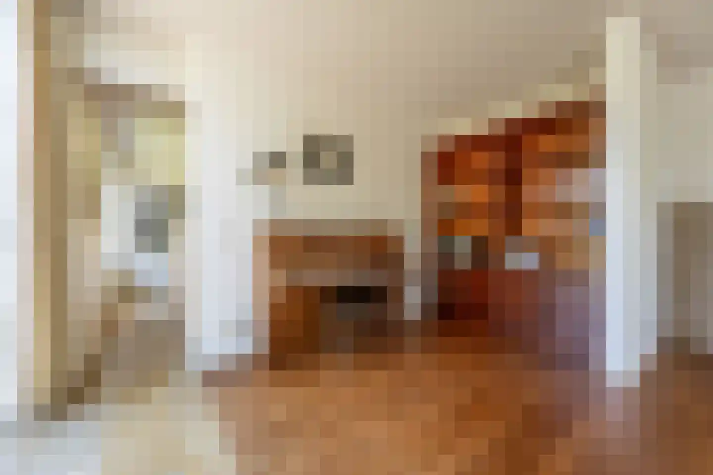 Ambachtsherenlaan 3 Mijnsheerenland thumbnail 12