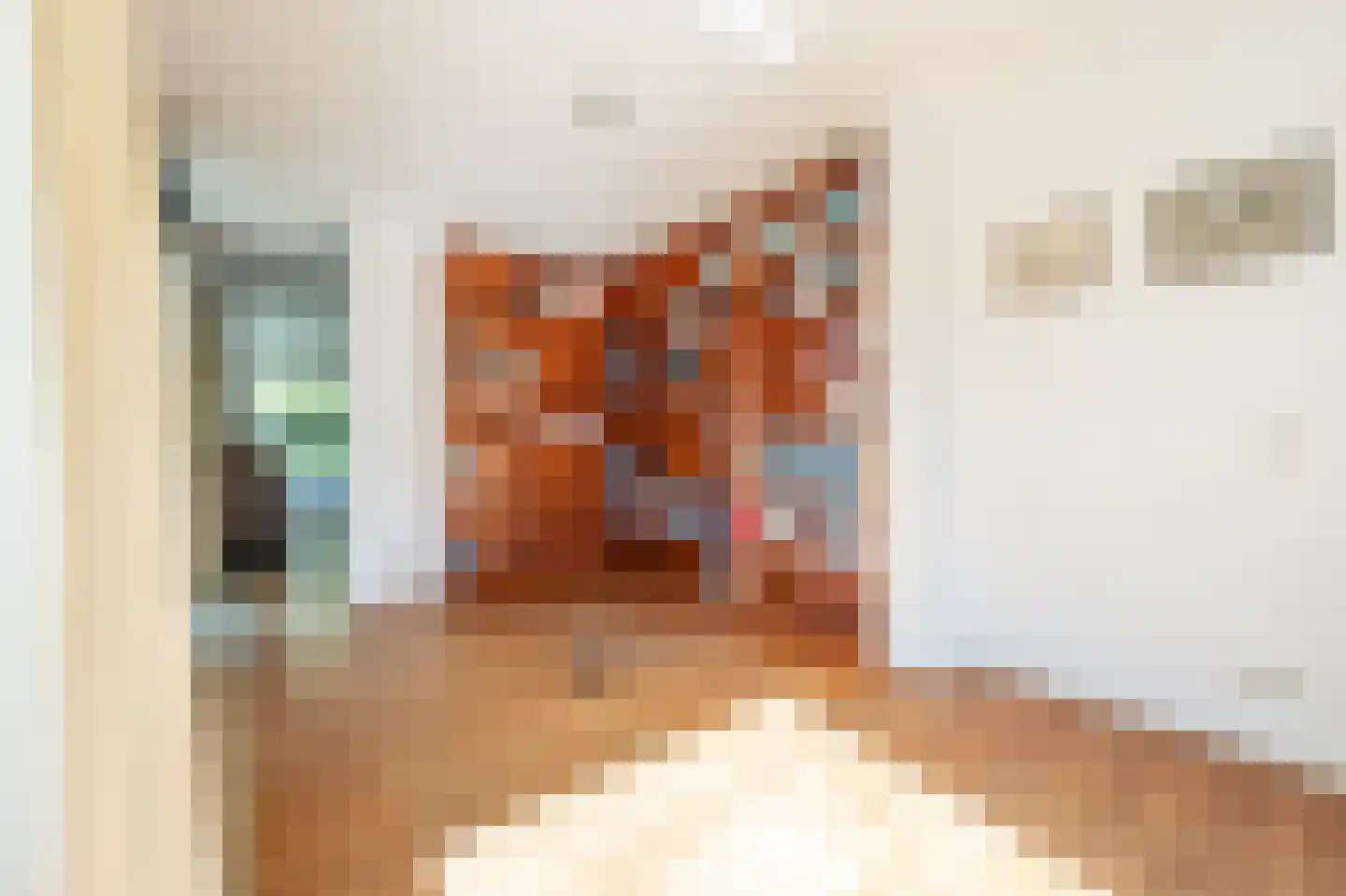 Ambachtsherenlaan 3 Mijnsheerenland thumbnail 15