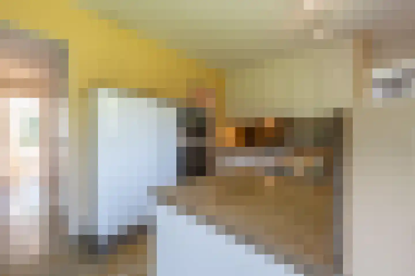 Ambachtsherenlaan 3 Mijnsheerenland thumbnail 16