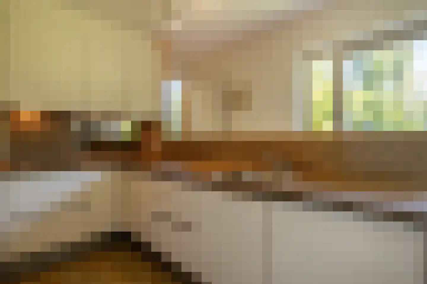 Ambachtsherenlaan 3 Mijnsheerenland thumbnail 18