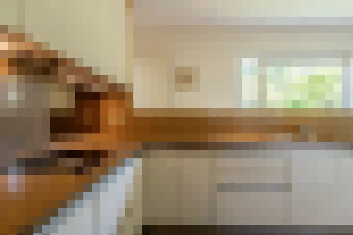 Ambachtsherenlaan 3 Mijnsheerenland thumbnail 19