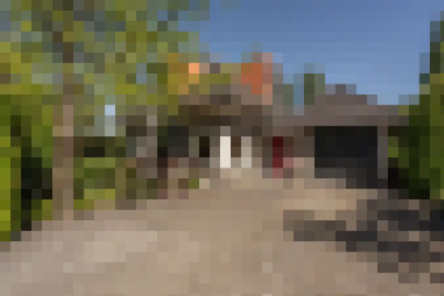 Ambachtsherenlaan 3 Mijnsheerenland foto 2