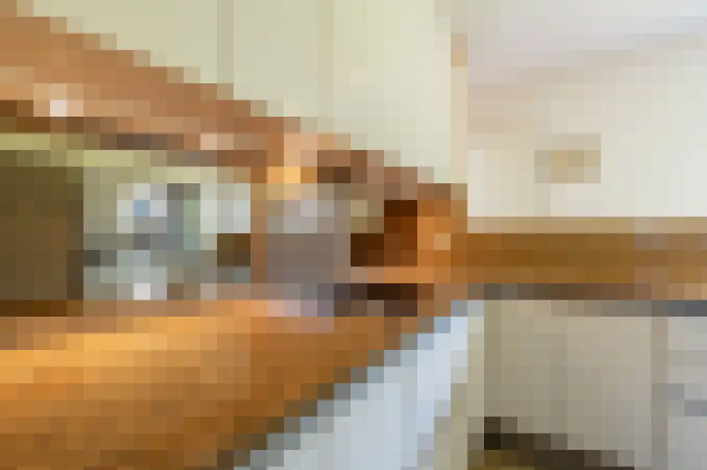 Ambachtsherenlaan 3 Mijnsheerenland thumbnail 20