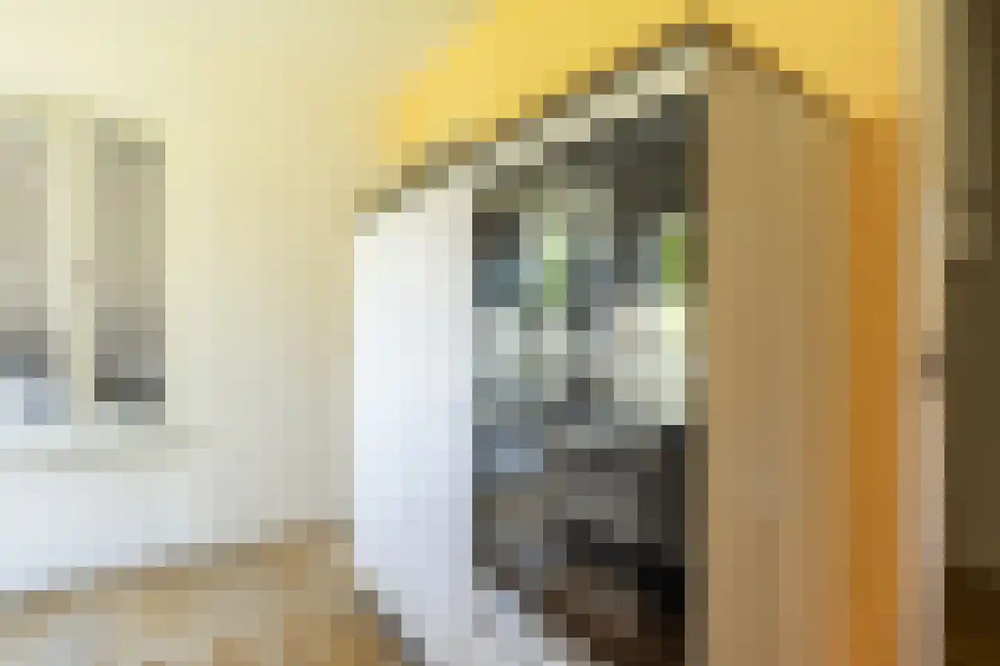 Ambachtsherenlaan 3 Mijnsheerenland thumbnail 21