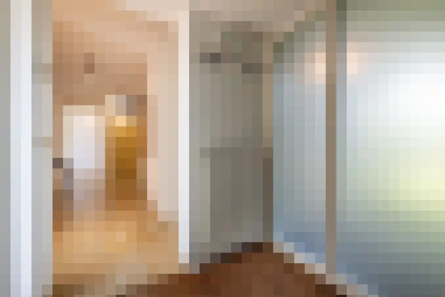 Ambachtsherenlaan 3 Mijnsheerenland thumbnail 22