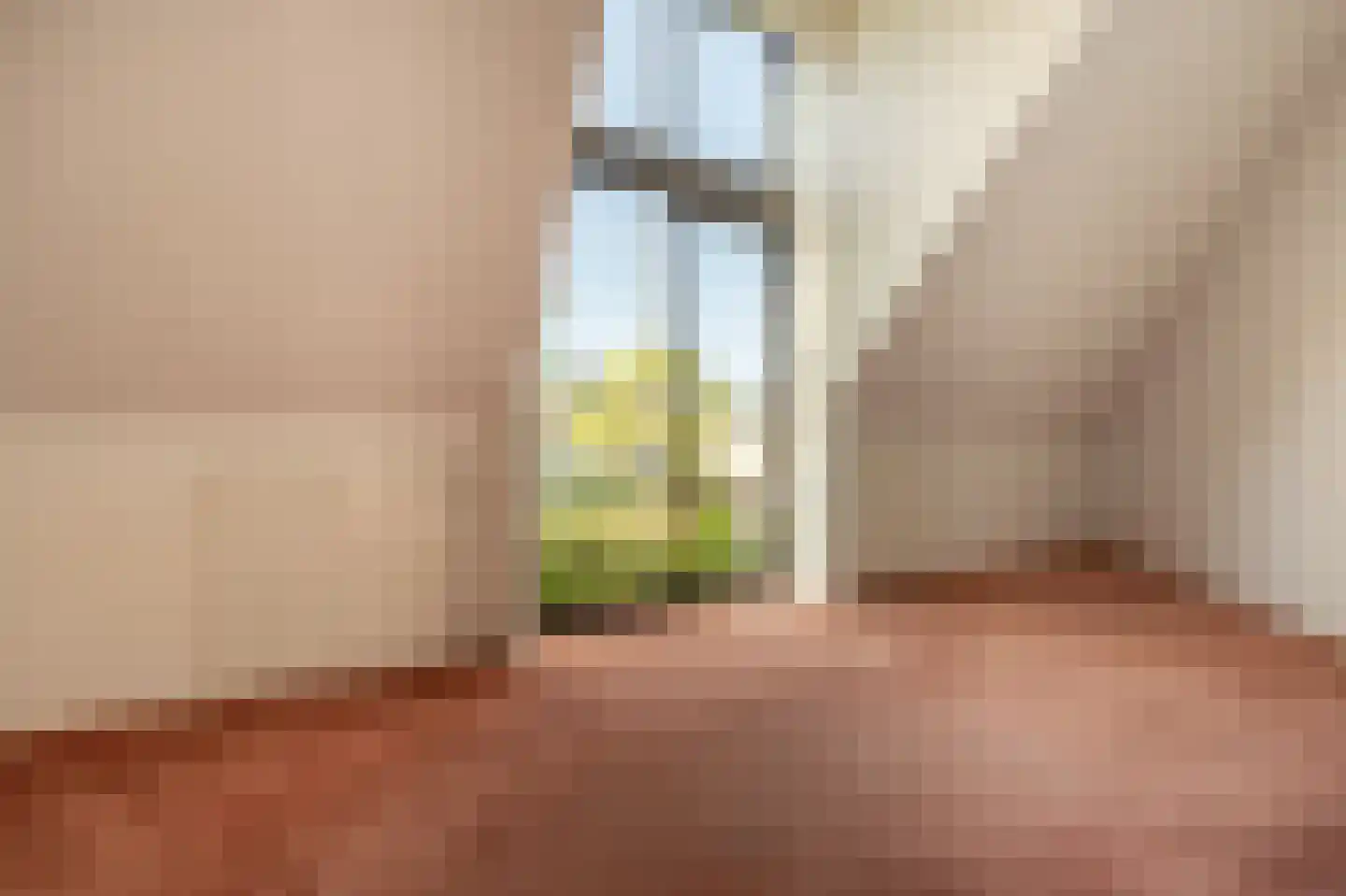 Ambachtsherenlaan 3 Mijnsheerenland thumbnail 29