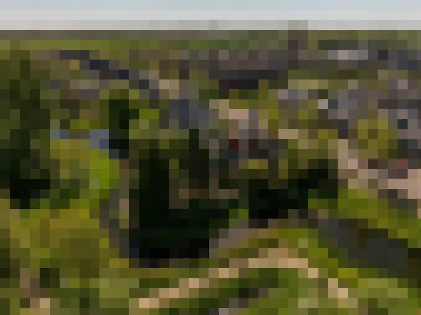 Ambachtsherenlaan 3 Mijnsheerenland foto 3