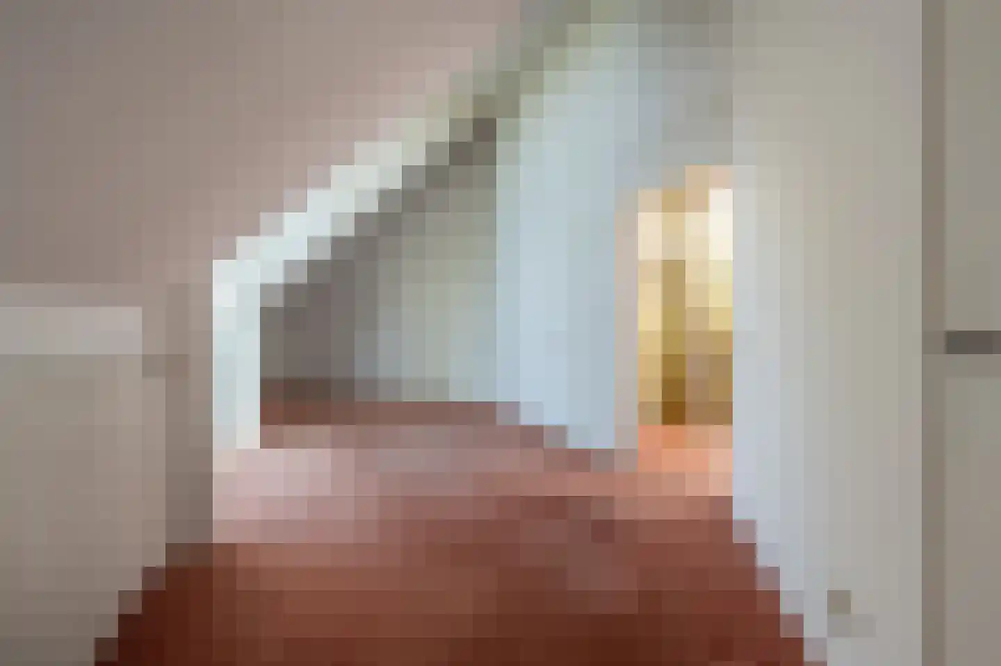 Ambachtsherenlaan 3 Mijnsheerenland thumbnail 30