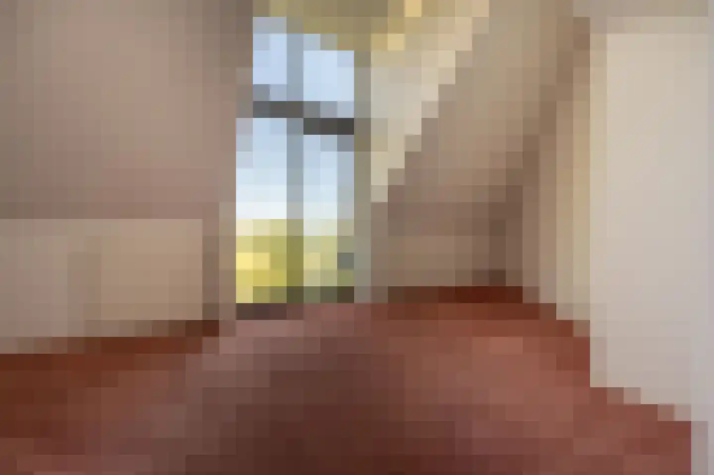 Ambachtsherenlaan 3 Mijnsheerenland thumbnail 33