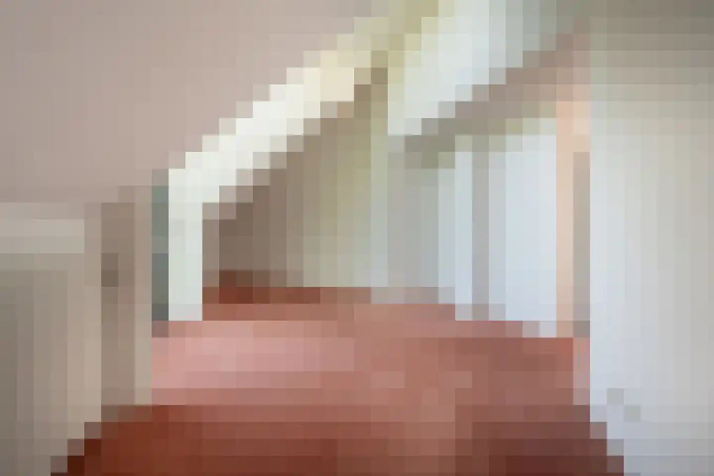 Ambachtsherenlaan 3 Mijnsheerenland thumbnail 34