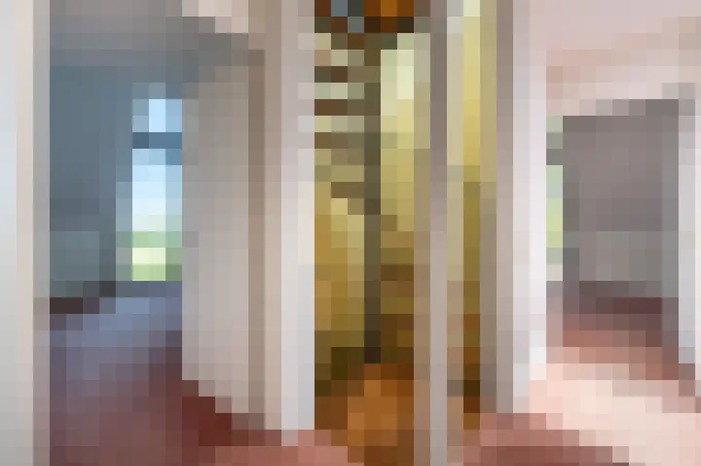 Ambachtsherenlaan 3 Mijnsheerenland thumbnail 37