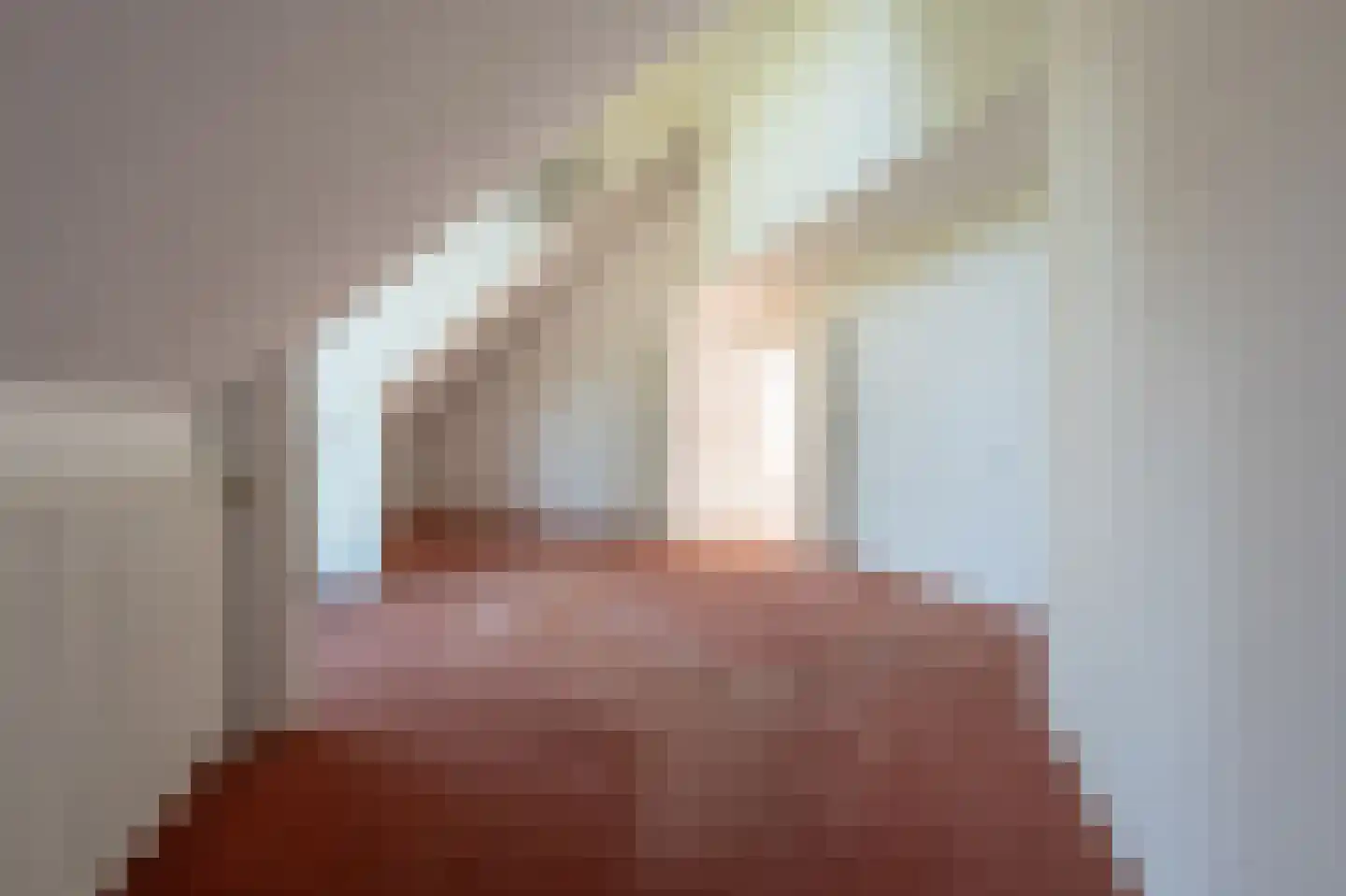Ambachtsherenlaan 3 Mijnsheerenland thumbnail 40