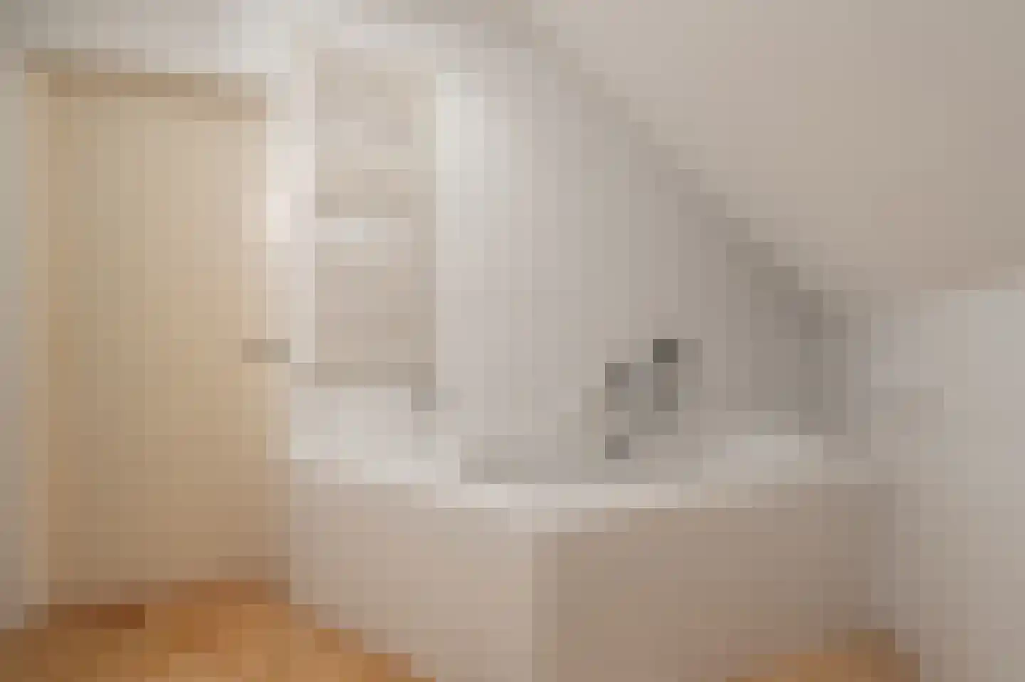 Ambachtsherenlaan 3 Mijnsheerenland thumbnail 43