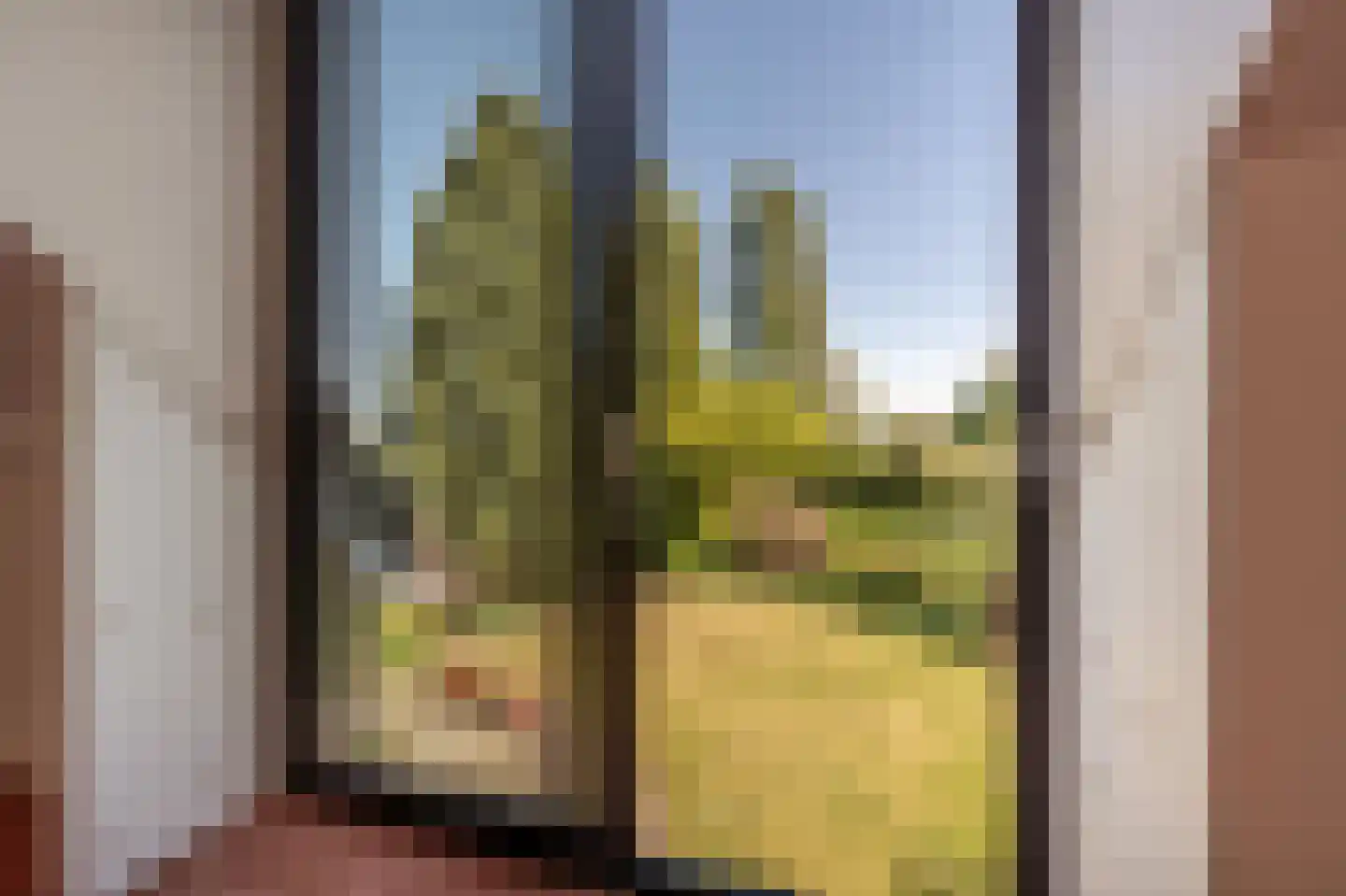 Ambachtsherenlaan 3 Mijnsheerenland thumbnail 44