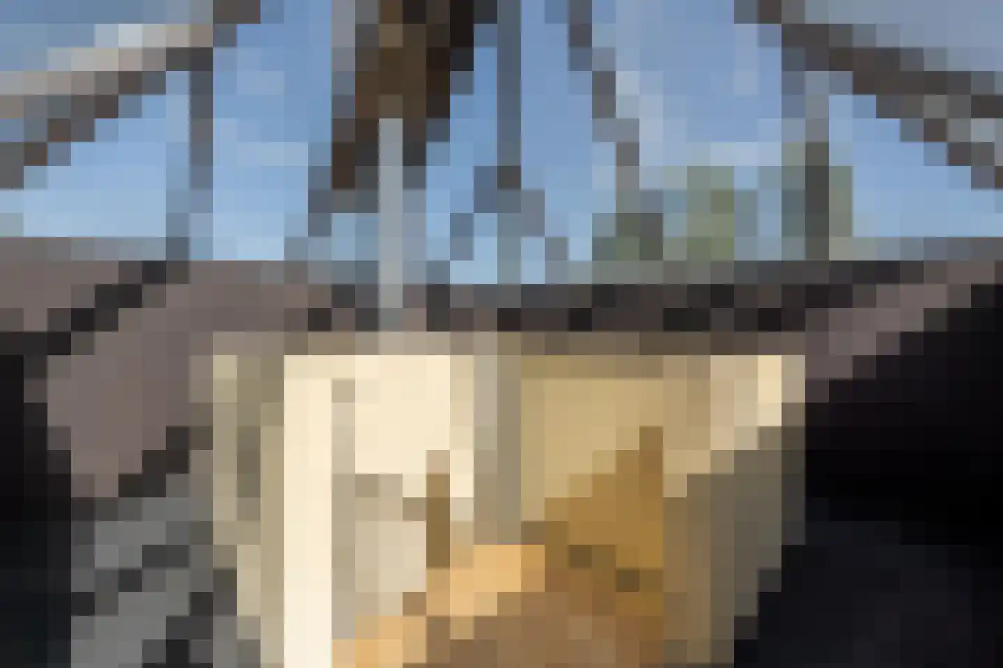 Ambachtsherenlaan 3 Mijnsheerenland thumbnail 47