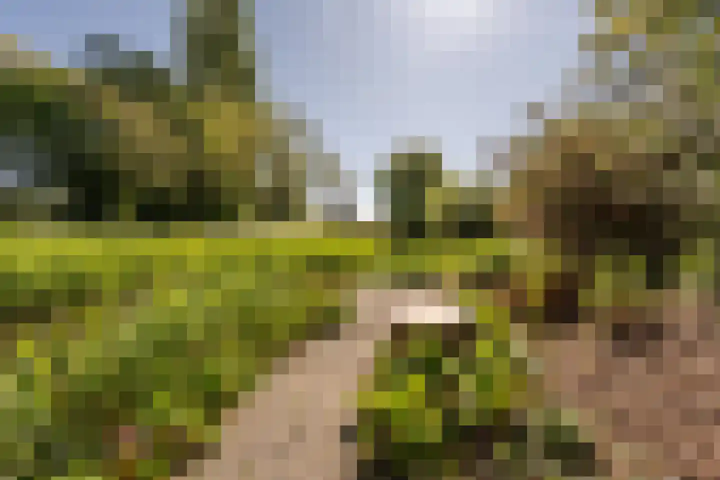 Ambachtsherenlaan 3 Mijnsheerenland thumbnail 53