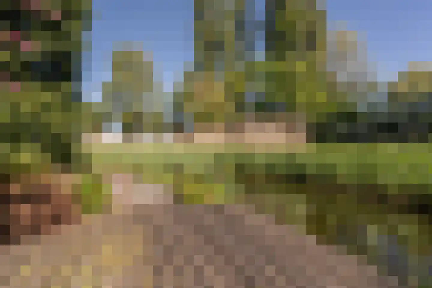 Ambachtsherenlaan 3 Mijnsheerenland thumbnail 54