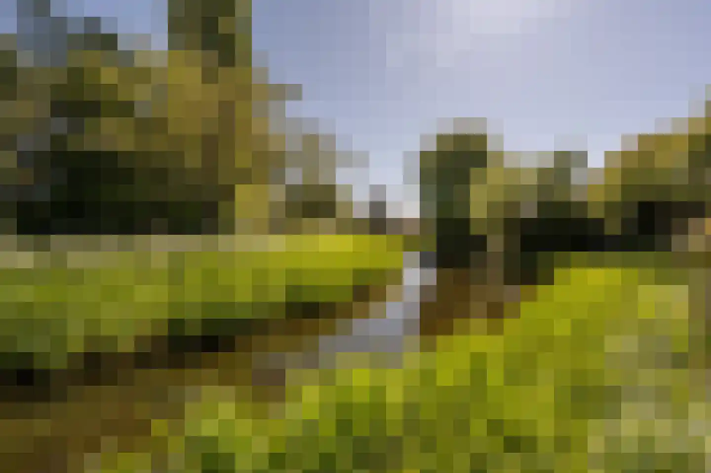 Ambachtsherenlaan 3 Mijnsheerenland thumbnail 55