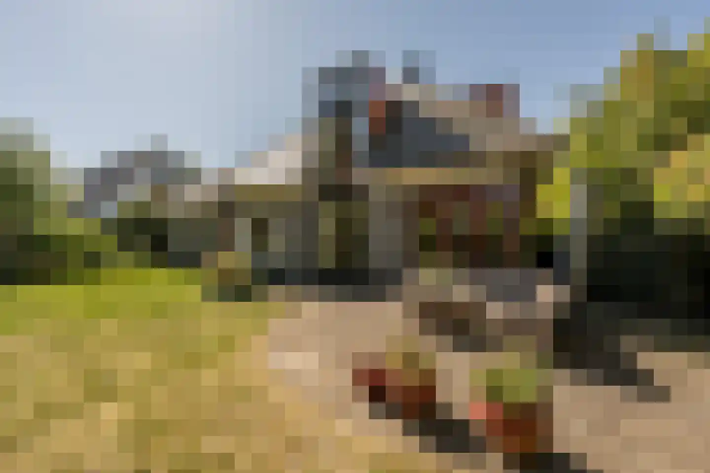 Ambachtsherenlaan 3 Mijnsheerenland thumbnail 56