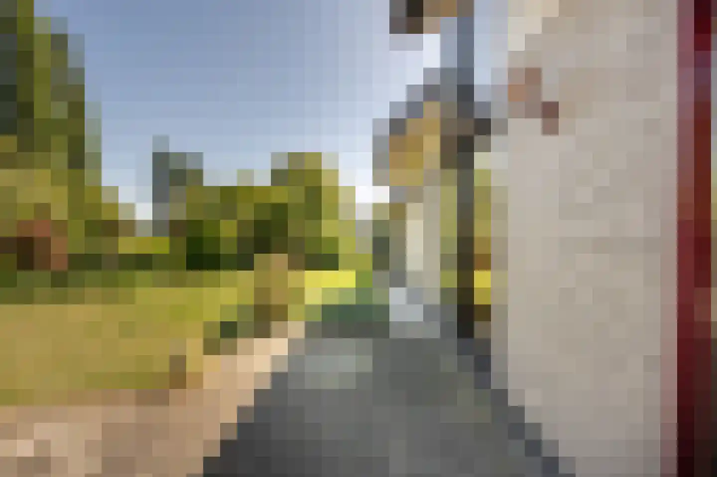 Ambachtsherenlaan 3 Mijnsheerenland thumbnail 57