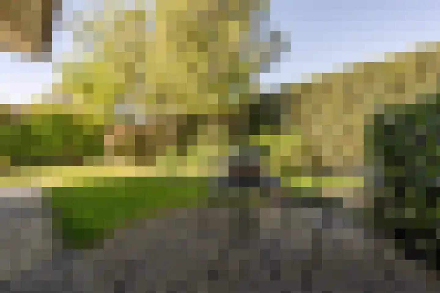 Ambachtsherenlaan 3 Mijnsheerenland thumbnail 58