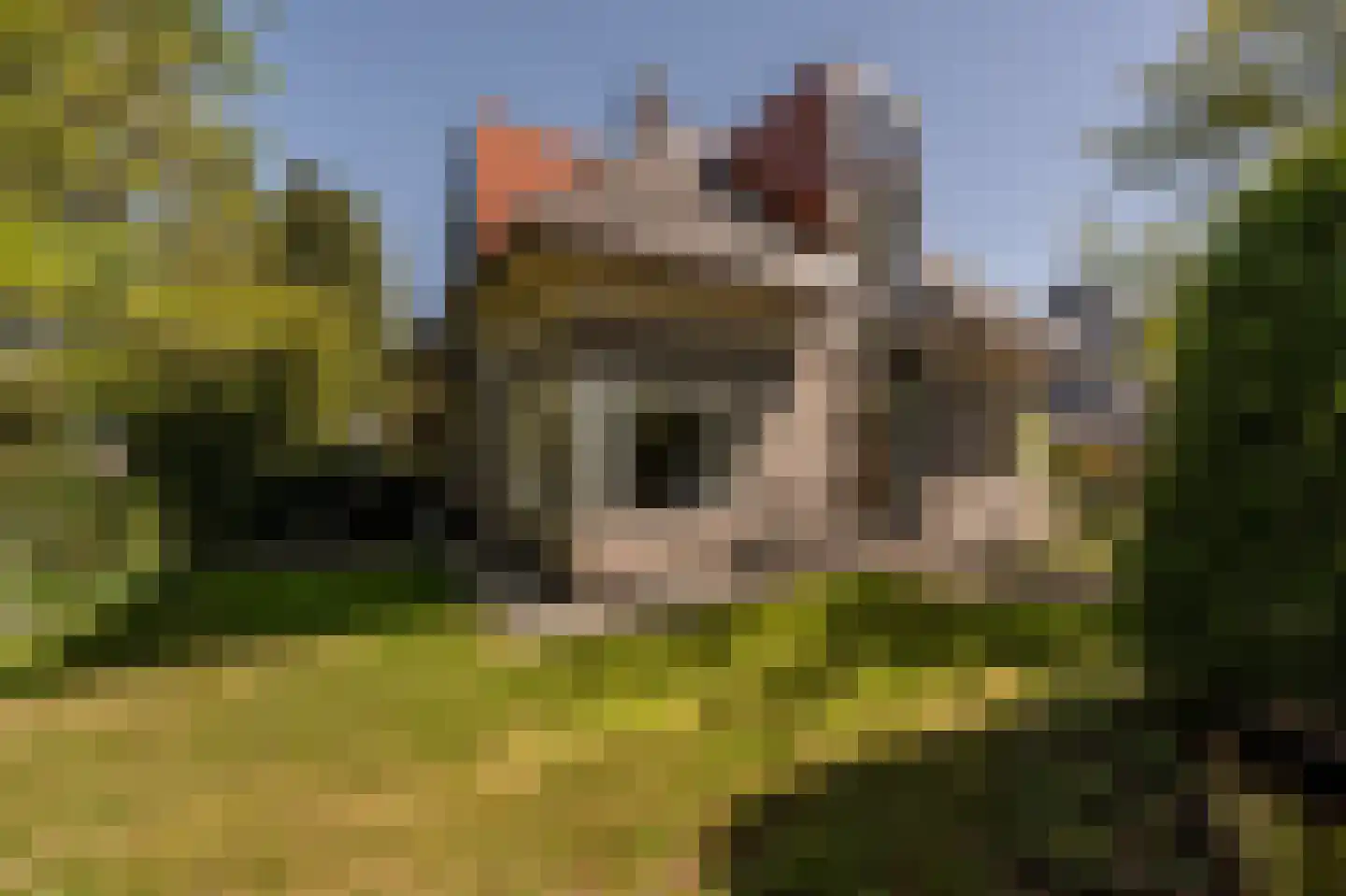 Ambachtsherenlaan 3 Mijnsheerenland thumbnail 59