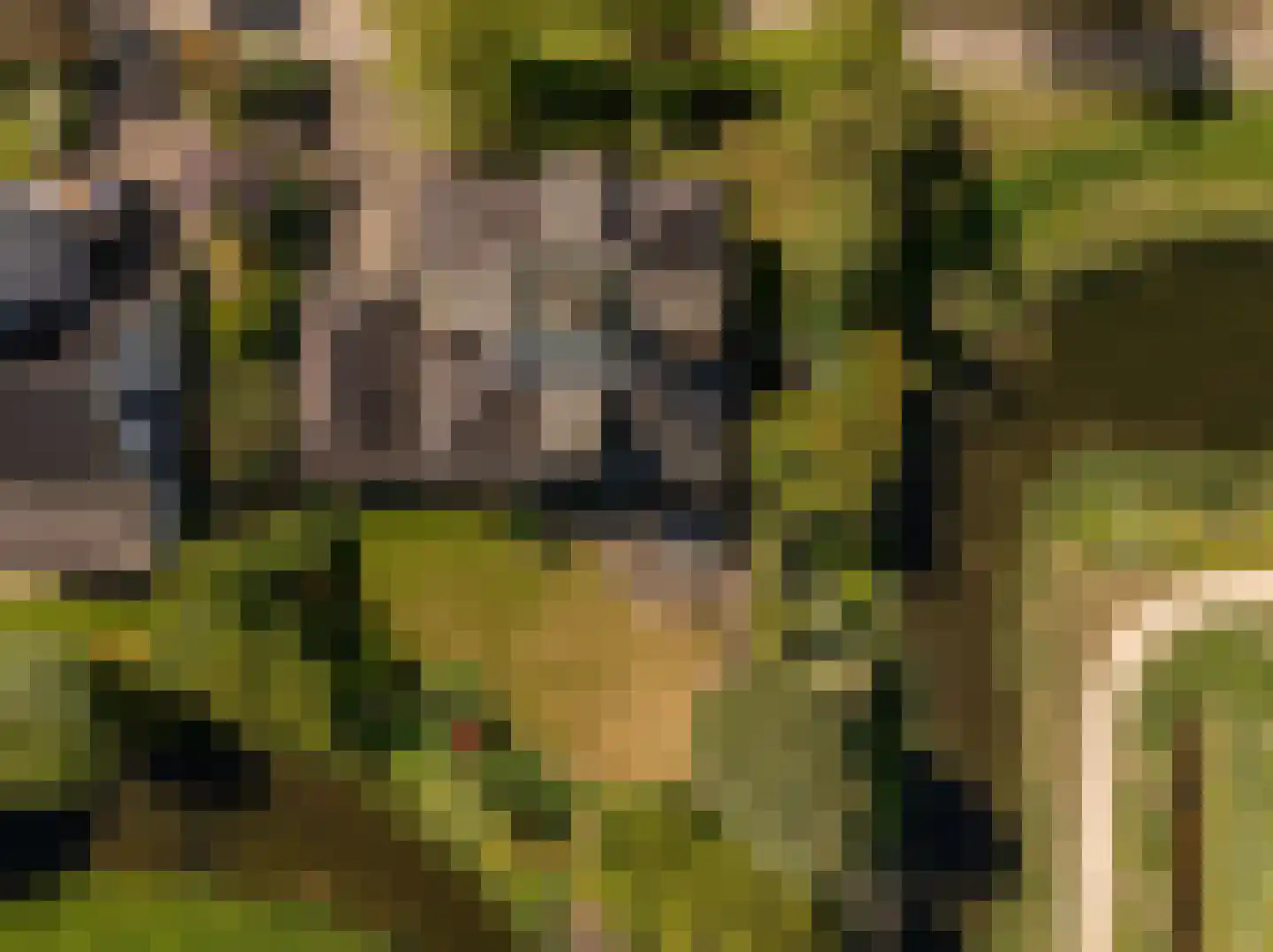 Ambachtsherenlaan 3 Mijnsheerenland thumbnail 61