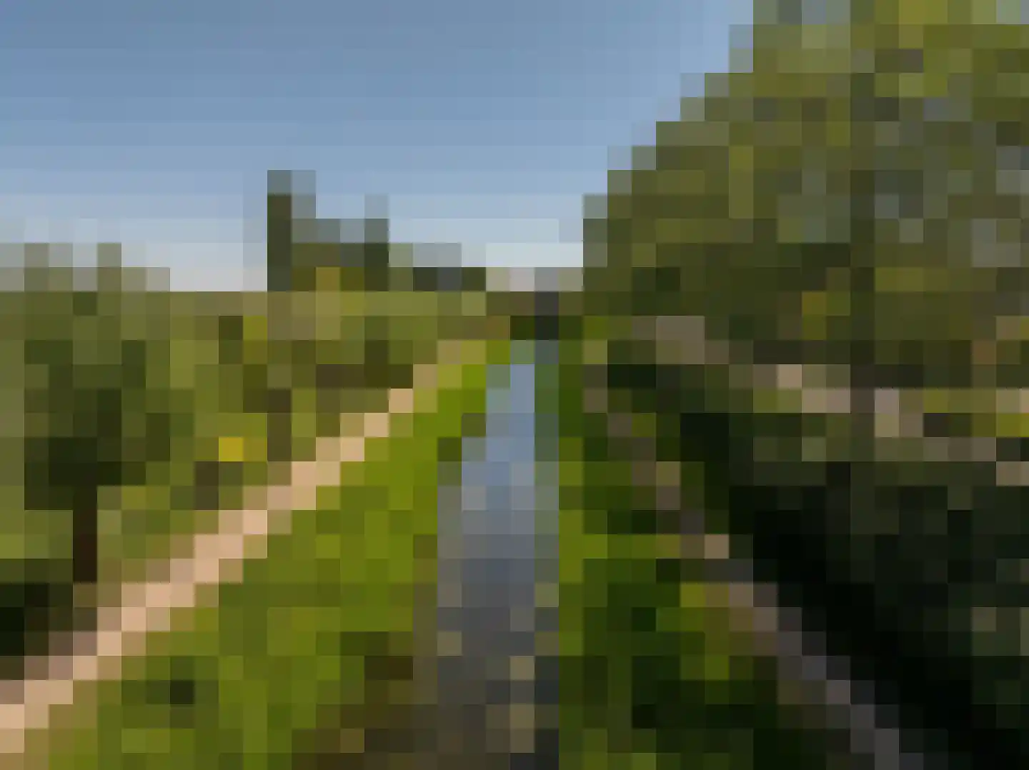 Ambachtsherenlaan 3 Mijnsheerenland thumbnail 63