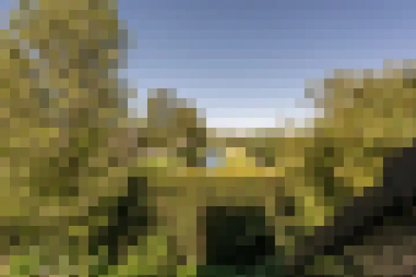 Ambachtsherenlaan 3 Mijnsheerenland thumbnail 65