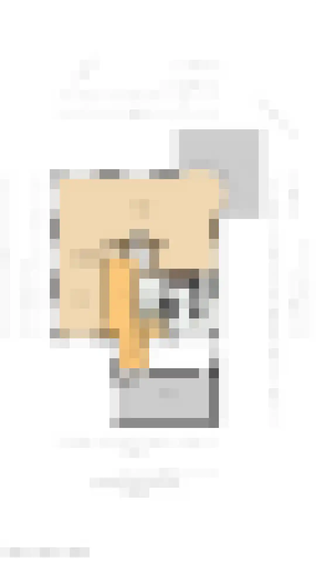 Ambachtsherenlaan 3 Mijnsheerenland thumbnail 66