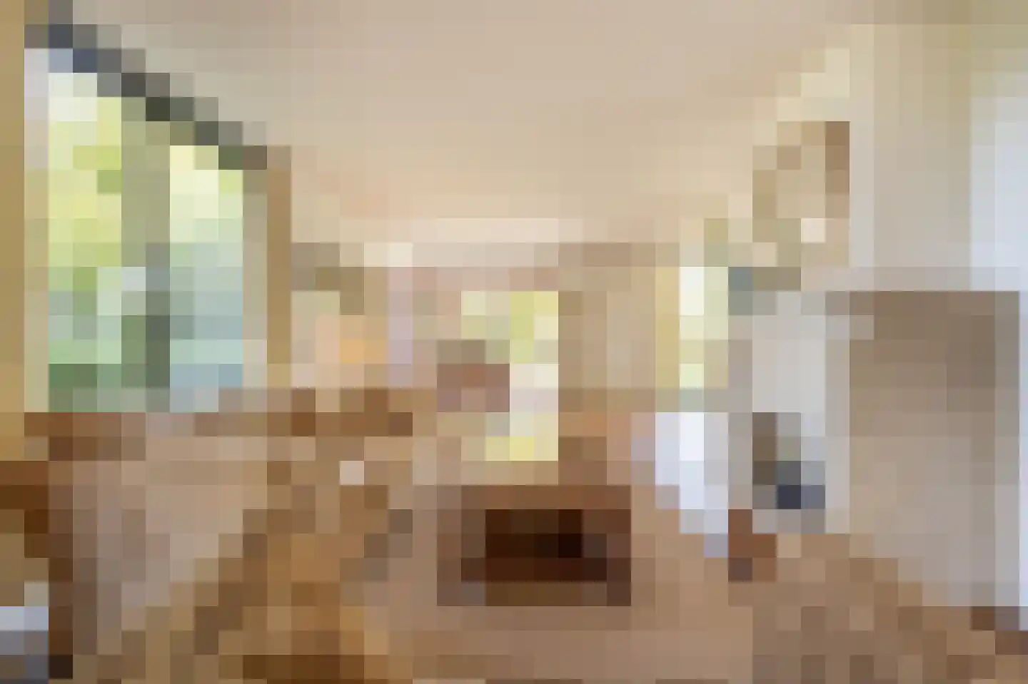 Ambachtsherenlaan 3 Mijnsheerenland thumbnail 8