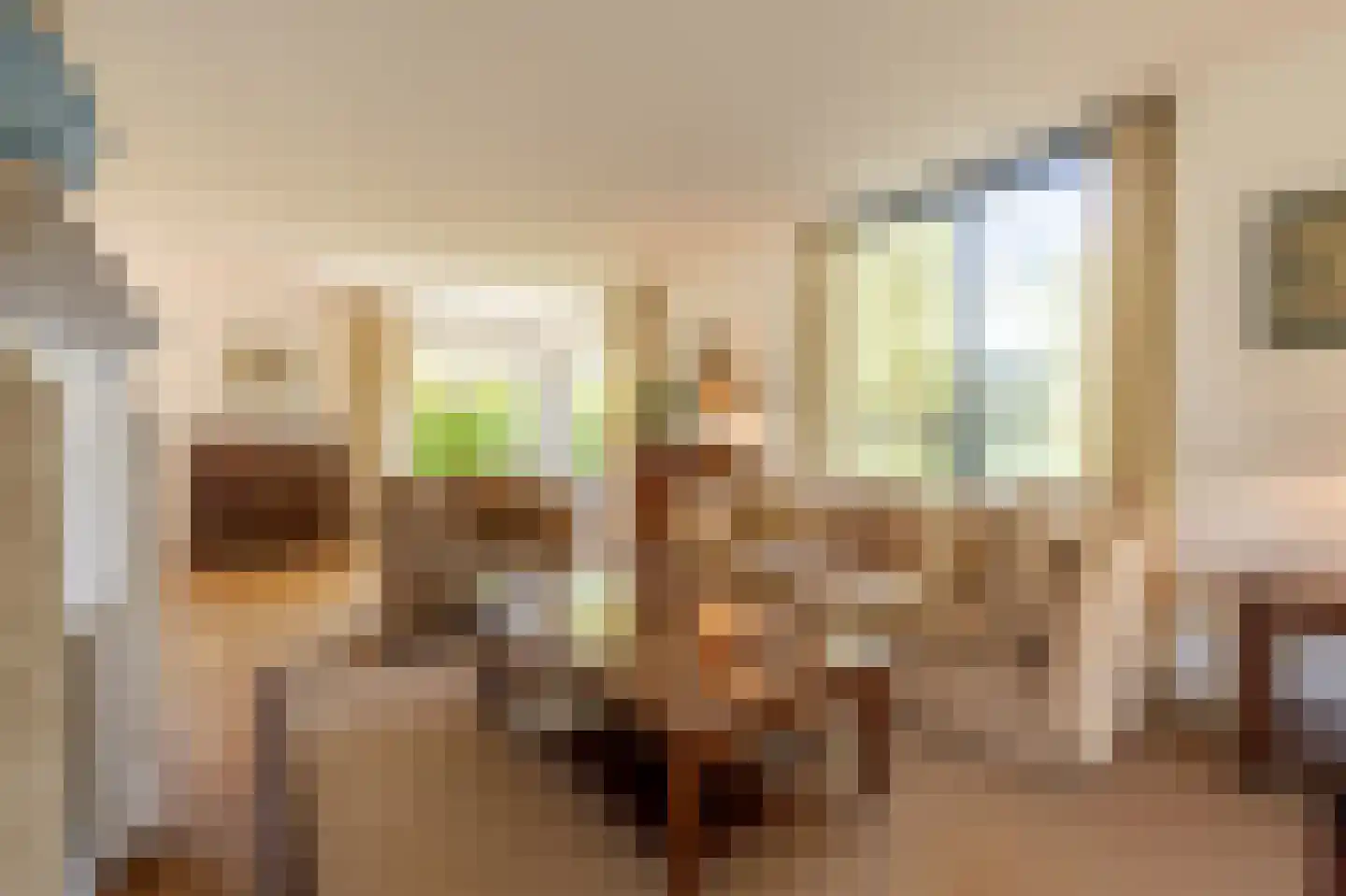 Ambachtsherenlaan 3 Mijnsheerenland thumbnail 9
