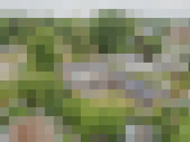 Ambachtsherenlaan 65 Raamsdonksveer thumbnail 11