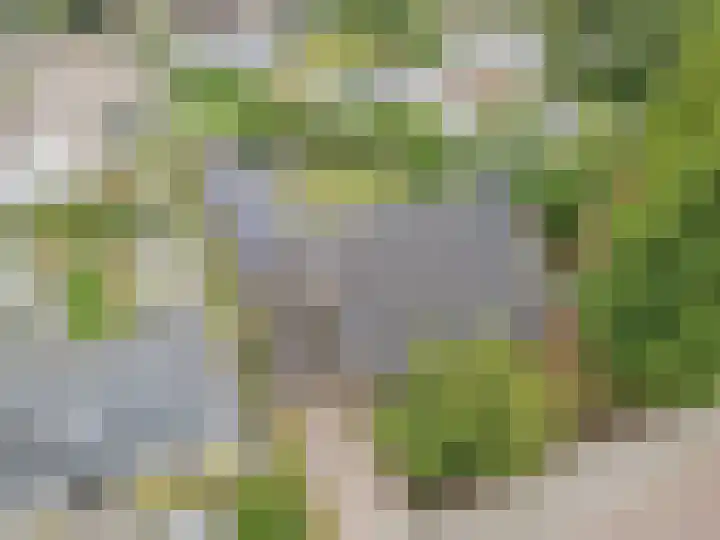 Ambachtsherenlaan 65 Raamsdonksveer thumbnail 13