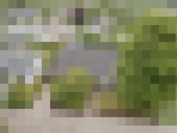 Ambachtsherenlaan 65 Raamsdonksveer thumbnail 14