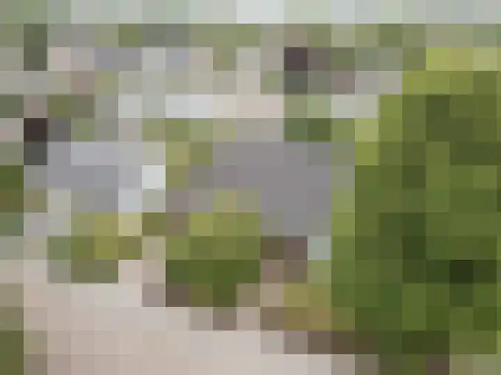 Ambachtsherenlaan 65 Raamsdonksveer thumbnail 15