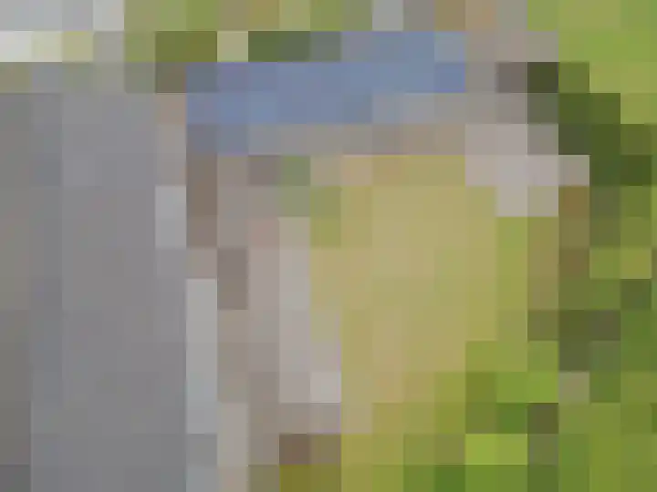 Ambachtsherenlaan 65 Raamsdonksveer thumbnail 16