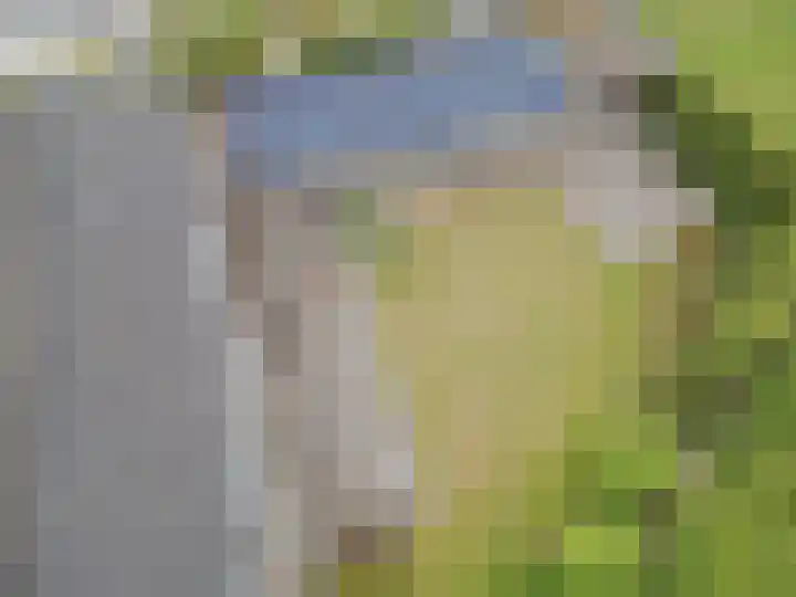 Ambachtsherenlaan 65 Raamsdonksveer thumbnail 17