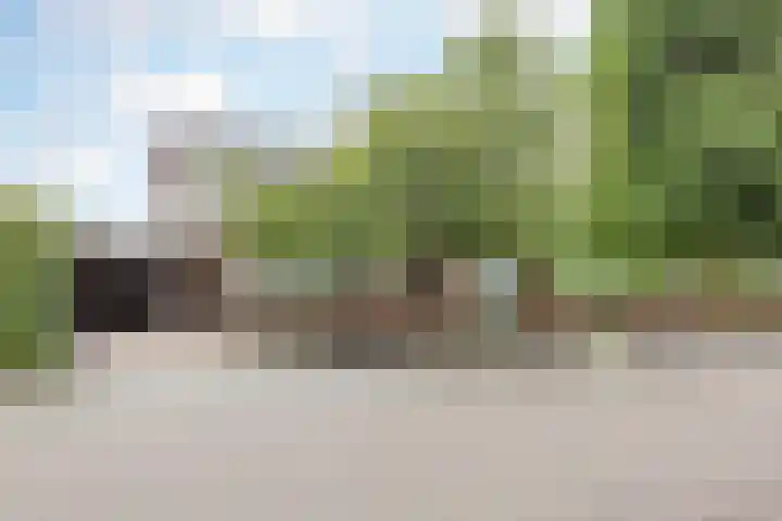 Ambachtsherenlaan 65 Raamsdonksveer thumbnail 18
